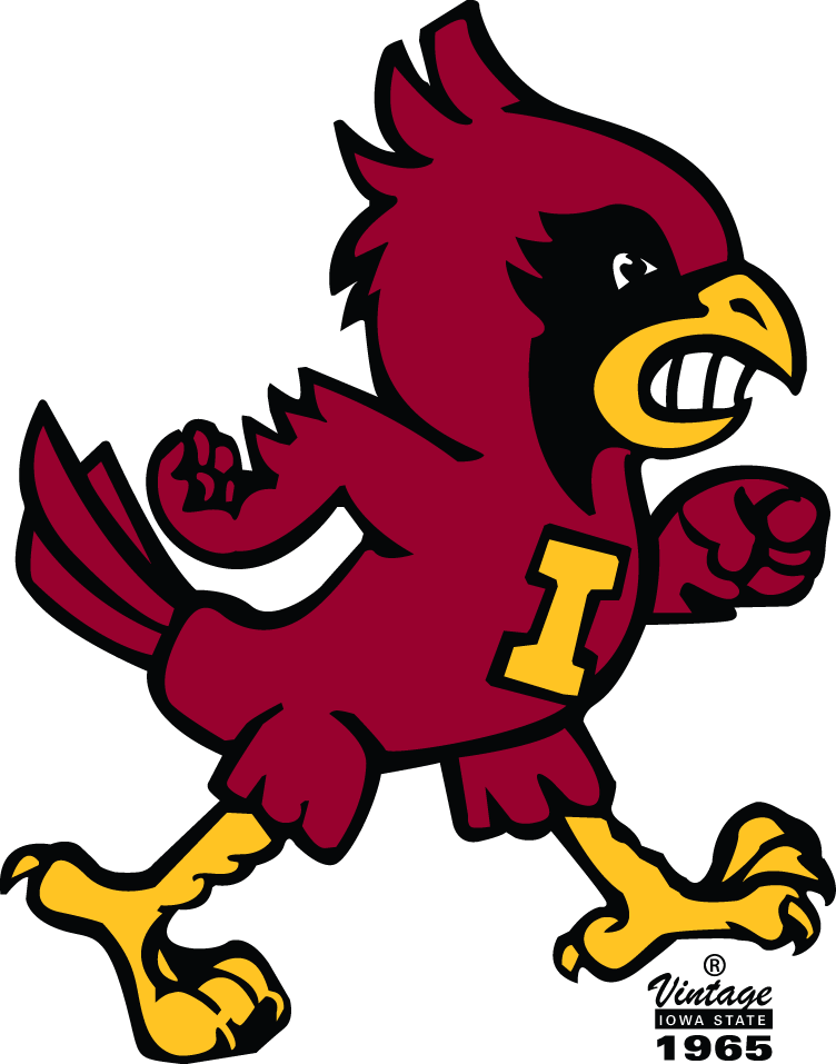 Iowa State Cyclones 1965-1977 Alternate Logo diy DTF decal sticker